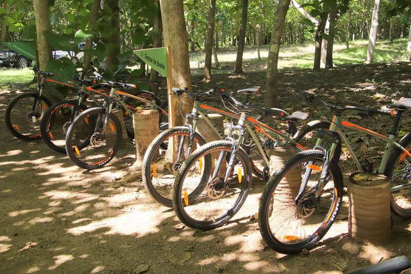 From Puerto Vallarta: Jungle Mountain Bike Tour - Who will enjoy this ride most