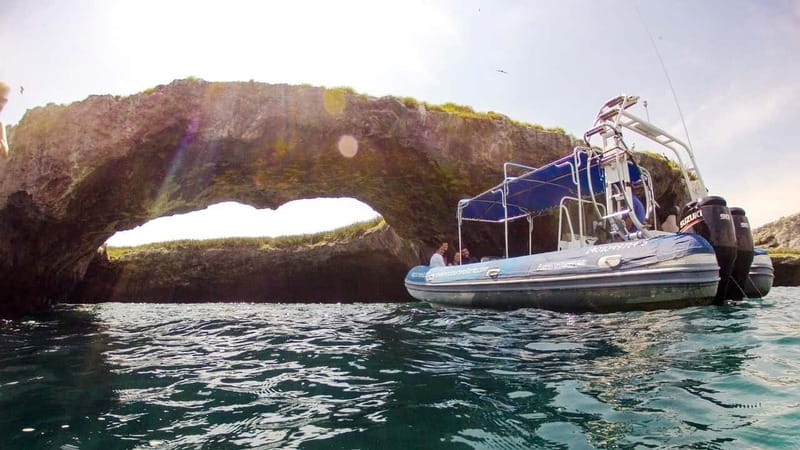From Puerto Vallarta: Marieta Islands Snorkeling Trip - Three hours of snorkeling around the island reefs