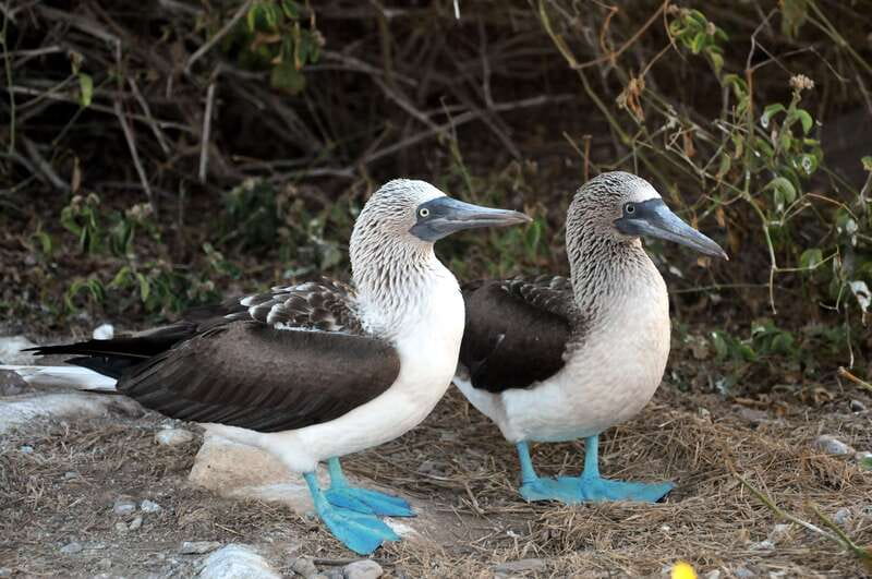 From Puerto Vallarta: Marieta Islands Snorkeling Trip - What the $145 price really includes