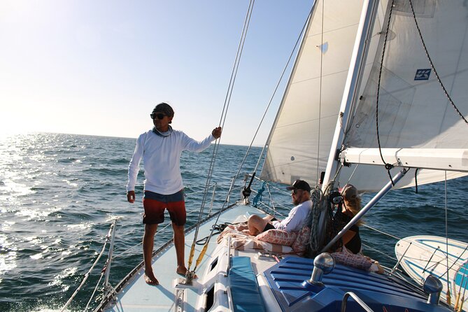 Full-Day Private Sailing Cruise Puerto Vallarta with Snorkeling - Wildlife and changing sea conditions