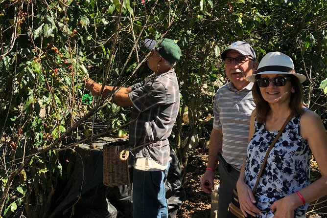 Full-Day Private Tour to San Sebastian del Oeste with Guide - What the private format is worth