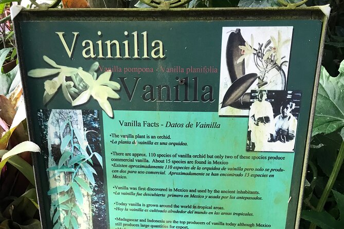 Full Day Puerto Vallarta Botanical Garden Tour - Lunch and the visitor center provide a needed pause