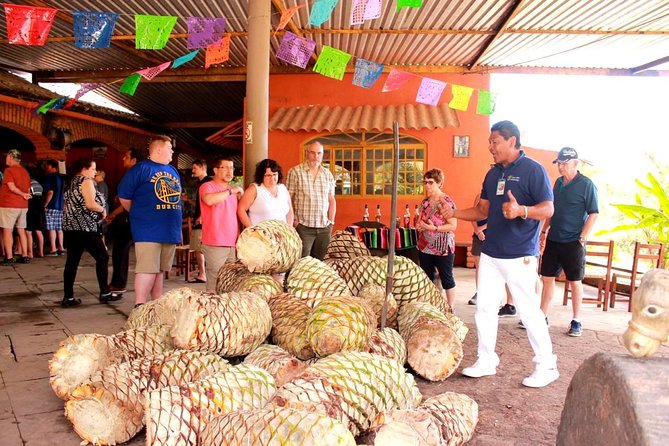 Full-Day Puerto Vallarta City Highlights Tour - The road to Las Juntas y los Veranos