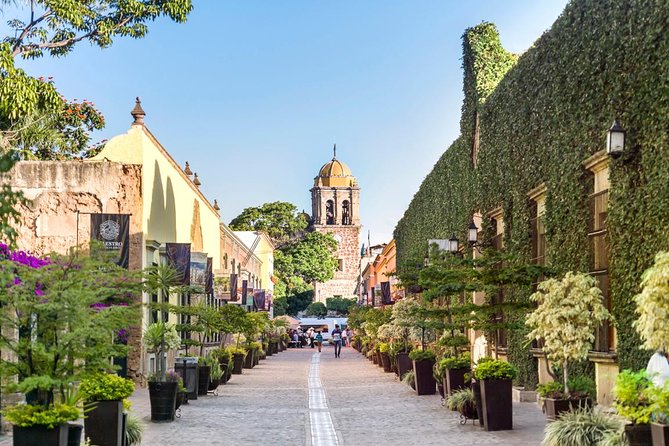 Full-Day Tequila, Jalisco from Puerto Vallarta with Tequila Experience - Key points to know before booking