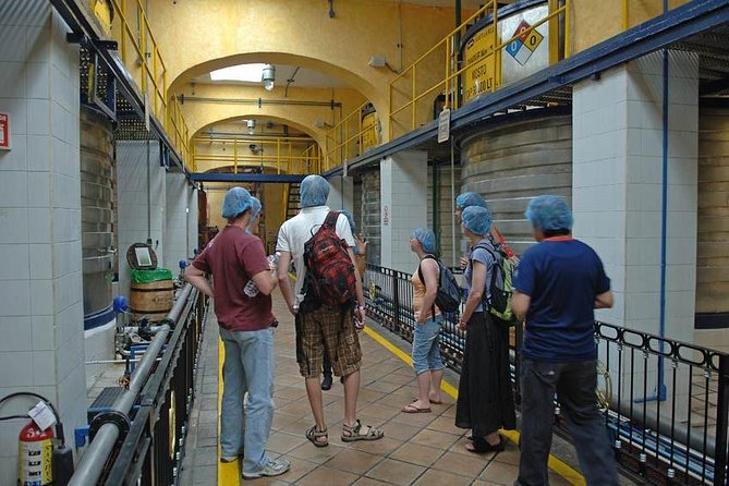 Full-Day Tequila, Jalisco from Puerto Vallarta with Tequila Experience - The 50-minute Jose Cuervo Forum visit