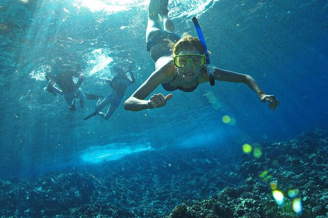 Full Day Tour Isla Marietas with Meals and Open Bar - Breakfast, lunch, and the open bar