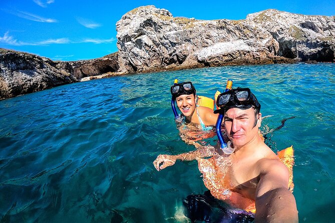 Full Day Tour Isla Marietas with Meals and Open Bar - Who should book this Marietas Islands trip?