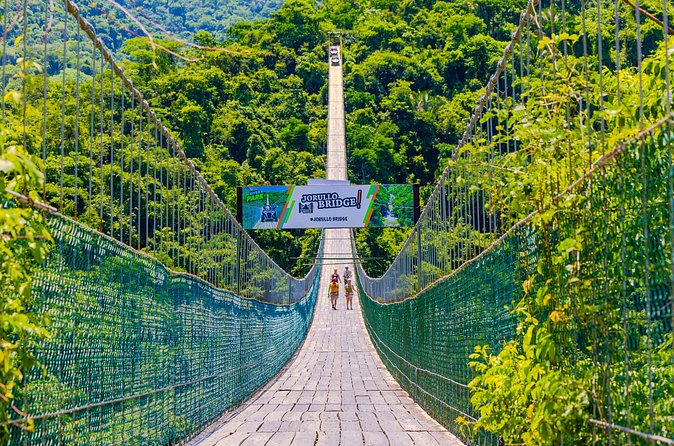 Full Zip Line Tour + Mules + Jorullo Bridge - What the $96 price really covers