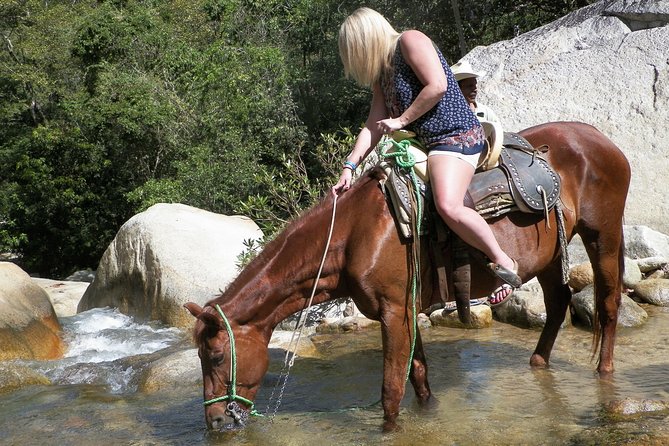 Fun Horseback Tour in Mismaloya - Getting comfortable with the horses