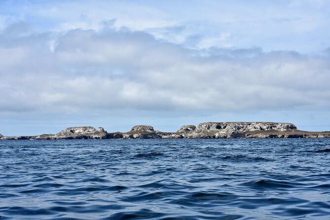 Half-Day Tour to Marietas Islands, Playa Nopalera by Speedboat - The optional Ecotour with biologist Marina