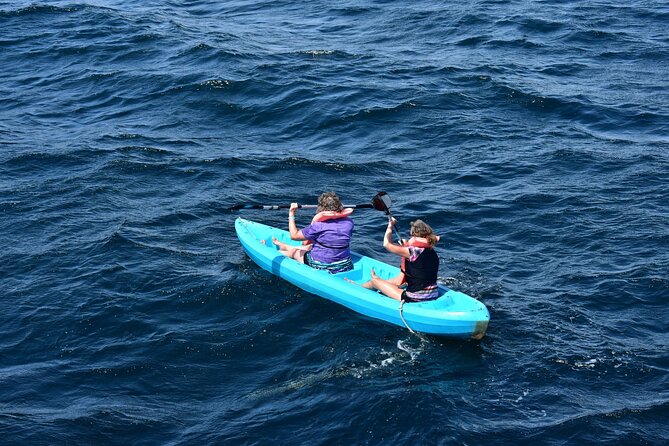 Half-Day Tour to Marietas Islands, Playa Nopalera by Speedboat - What the MX$ price really buys you