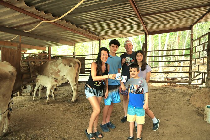 Hands-on Mexican Farm Experience: from Cow to Cheese - Key details to know before booking