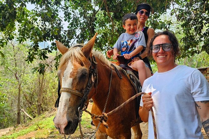 Hands-on Mexican Farm Experience: from Cow to Cheese - Leaving Puerto Vallarta for the Sierra Madre