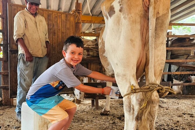 Hands-on Mexican Farm Experience: from Cow to Cheese - Turning corn dough into hot tortillas
