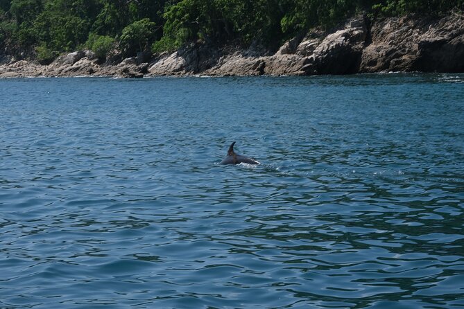 Hidden Beach Snorkeling Adventure - Why the small group matters