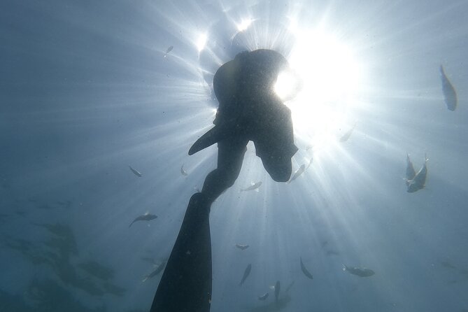 Hidden Beach Snorkeling Adventure - The boat ride toward Majahuitas and Yelapa