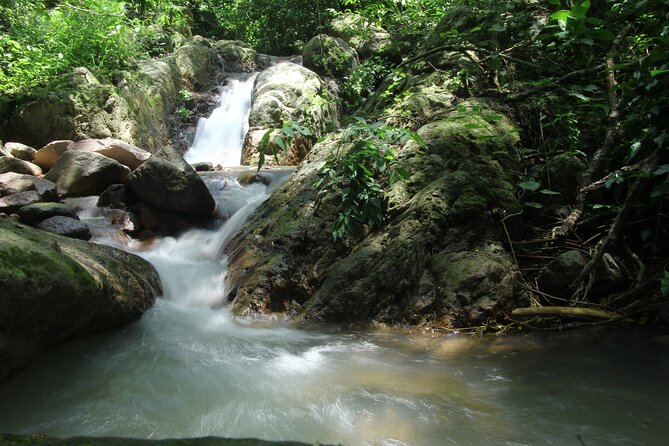 Hiking Adventure: River Trails & Waterfall Wonders - Following Puerto Vallarta’s river trails