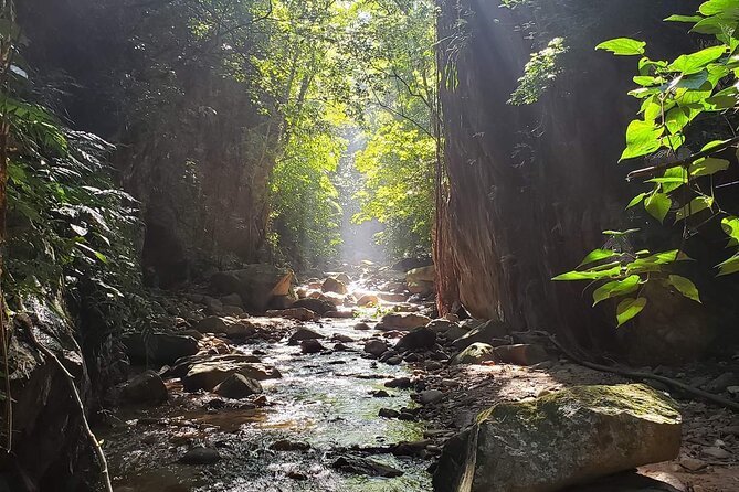 Hiking Adventure: River Trails & Waterfall Wonders - Guides Carlos and Emilian shape the morning