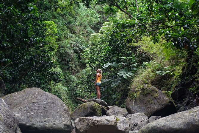Hiking Adventure: River Trails & Waterfall Wonders - What the $77 price really covers