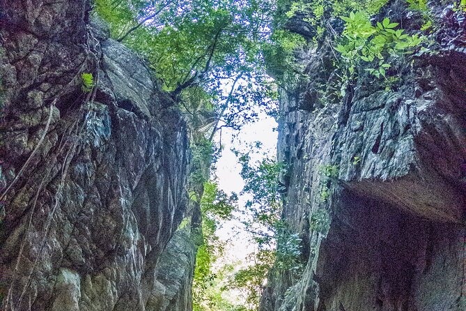Hiking Adventure: River Trails & Waterfall Wonders - A small group, but not a private tour