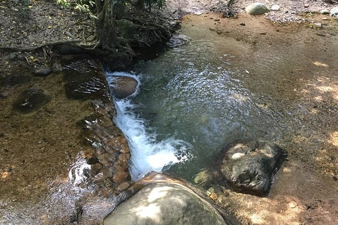 Hiking Adventure: River Trails & Waterfall Wonders - The meeting point deserves extra care