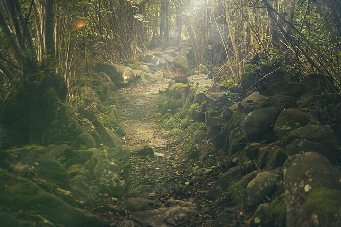 Hiking Adventure: River Trails & Waterfall Wonders - Who will enjoy this Puerto Vallarta hike