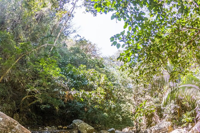 Hiking Adventure: River Trails & Waterfall Wonders - The waterfall and natural swimming area