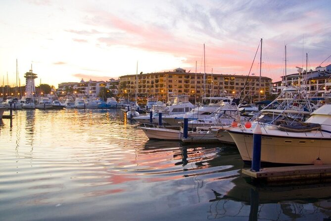 Hop On Hop Off Tour with Free Stops in Puerto Vallarta - Why this bus is useful on your first day