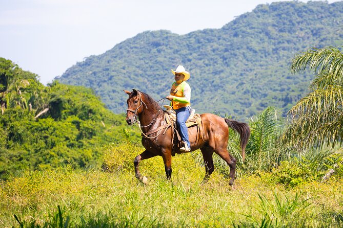 Horseback Riding Experience in Puerto Vallarta - Who will enjoy this ride most?