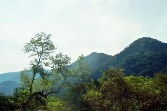 Horseback Riding Experience in Sierra Madre Mountains - Key points to know before you book