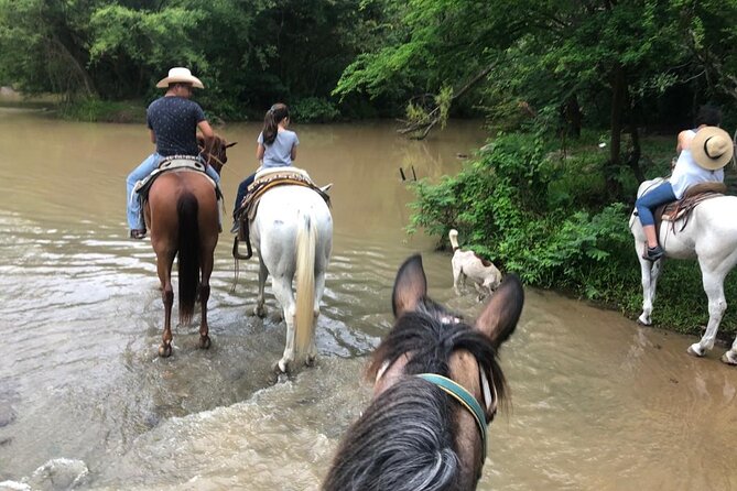 Horseback Riding Experience in Sierra Madre Mountains - Riding from Puerto Vallarta into the Sierra Madre