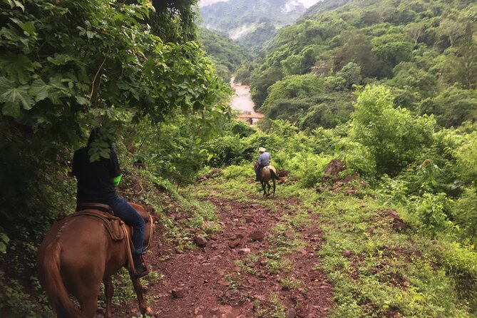 Horseback Riding Experience in Sierra Madre Mountains - Following the Cuale River through rough mountain terrain