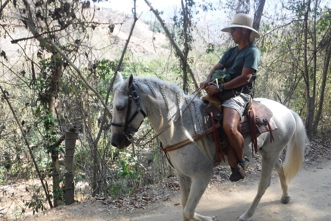 Horseback Riding Experience in Sierra Madre Mountains - Is $119 a fair price?