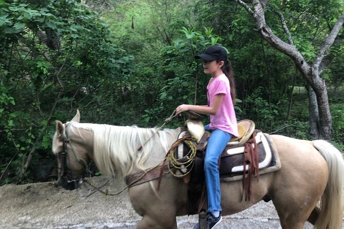 Horseback Riding Experience in Sierra Madre Mountains - Meeting the horses and settling into the saddle