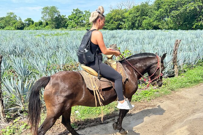 Horseback Riding & Swim: Tequila Tasting, BBQ & Margaritas - Transport, timing, and the Marina Vallarta meeting point