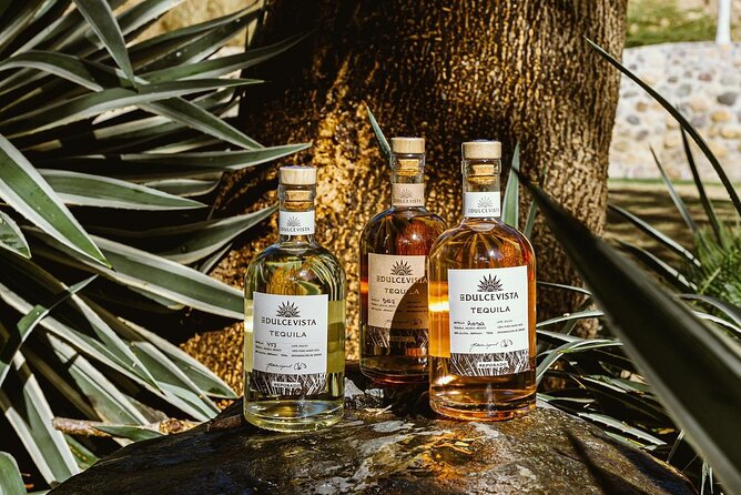 Horseback Riding & Swim: Tequila Tasting, BBQ & Margaritas - What to wear for a ride that may get wet
