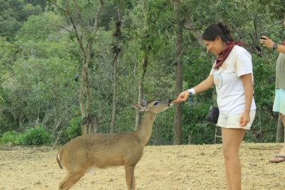 Hot Springs and Villages in the Sierra Madre for 4 hours