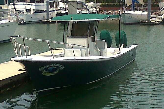 Inshore Fishing 4-Hour Puerto Vallarta Charter - The fish you may catch inside the bay