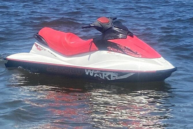 Jet Ski Jet Ski Rental in Puerto Vallarta - Why the two-person price can work