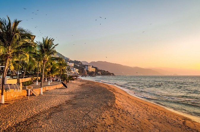 Love on the Boardwalk in Puerto Vallarta - Private - What a private tour changes