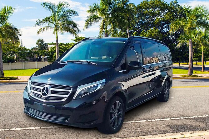 Luxury Private VIP Airport-Hotel Transportation - Finding the driver after customs