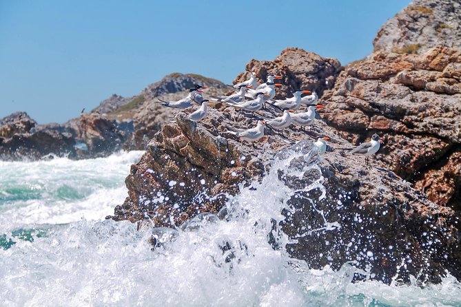 Marietas Hidden beach trip from Puerto Vallarta - What you receive for $169