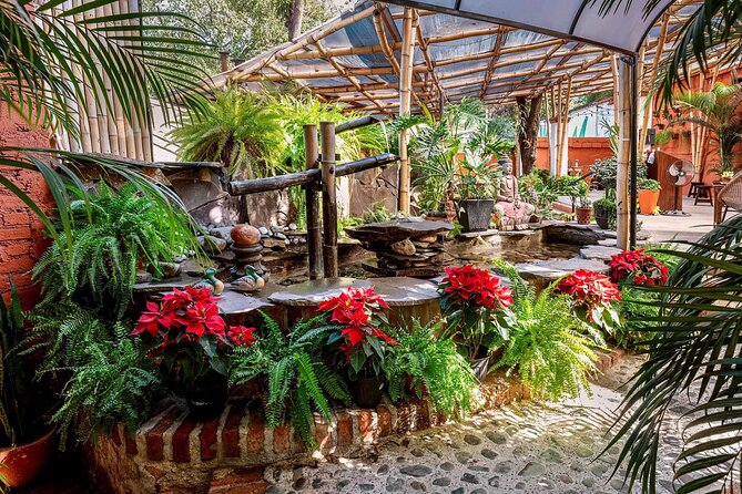 Mexican Wine Tasting Experience - The cheese and charcuterie board changes the value
