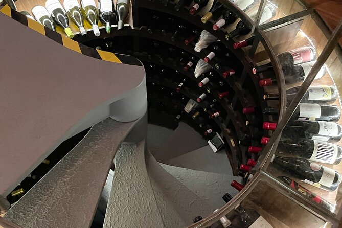 Mexican Wine Tasting Experience - Who will enjoy this Puerto Vallarta activity