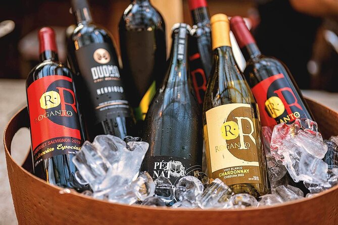 Mexican Wine Tasting Experience - Practical details that matter