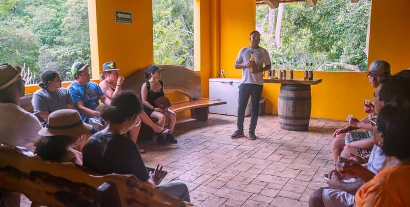 Mexico: Puerto Vallarta City Tour - Los Corrales and the coast