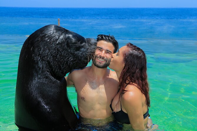 Ocean Mania & water park experience in Puerto Vallarta - What the Restrictions Mean for Your Group