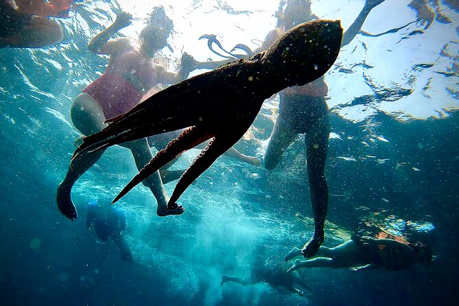 Paddleboard and Snorkeling Experience in Los Arcos - The one-mile paddle to the arches