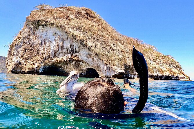 Paddleboard and Snorkeling Experience in Los Arcos - What is included and what you should bring