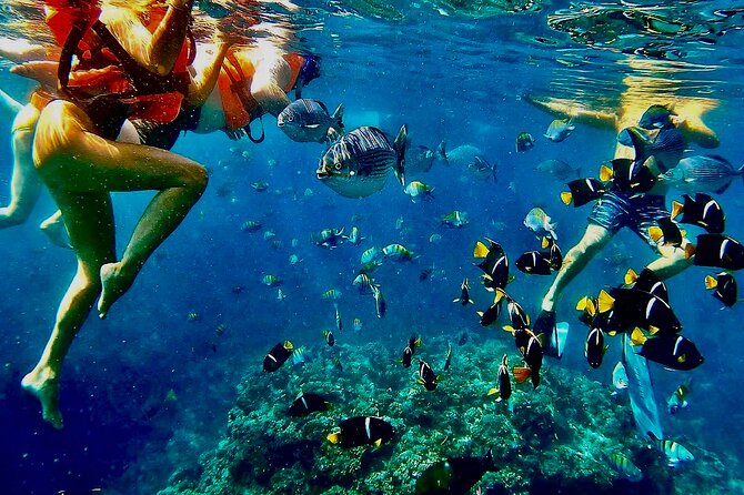 Paddleboard and Snorkeling Experience in Los Arcos - A short lesson before the first stroke